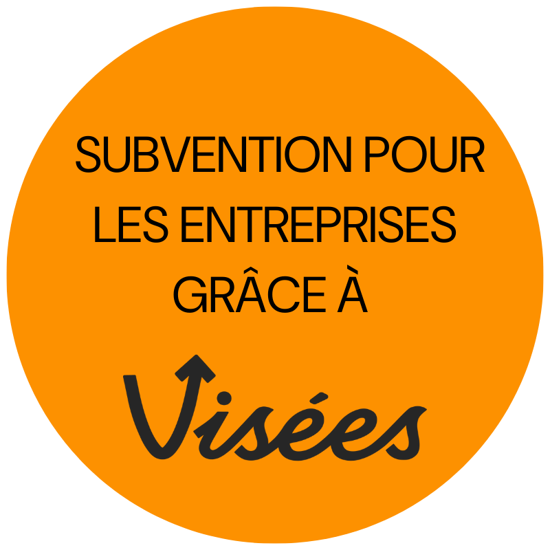 Subvention pour les entreprises grâce à Visées